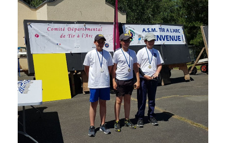 Championnat Départemental FITA - Porcheville