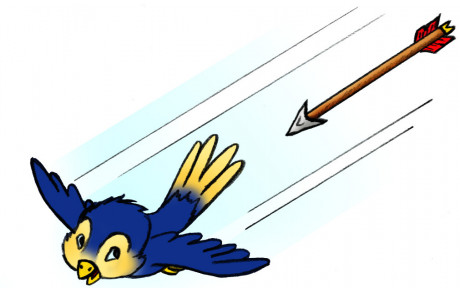 Tir de l'empereur et Abat Oiseau