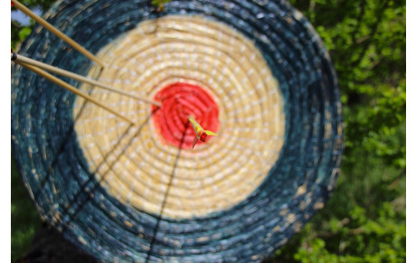 Report tirs de l'empereur et abat oiseau